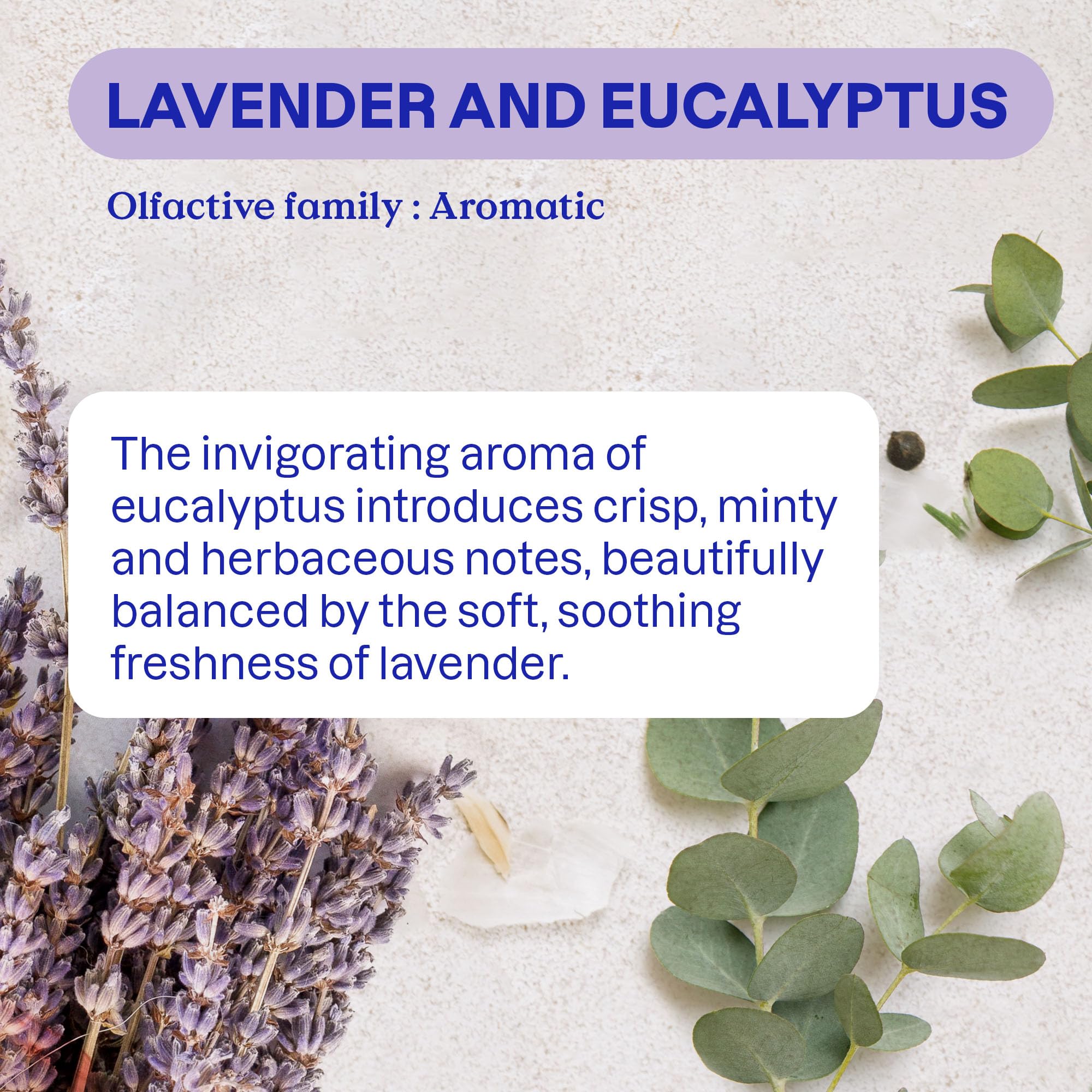 ATTITUDE Odor Eliminator with Activated Carbon, Plant-Based Air Purifier, Vegan, Lavender & Eucalyptus Scent, 8 Ounces