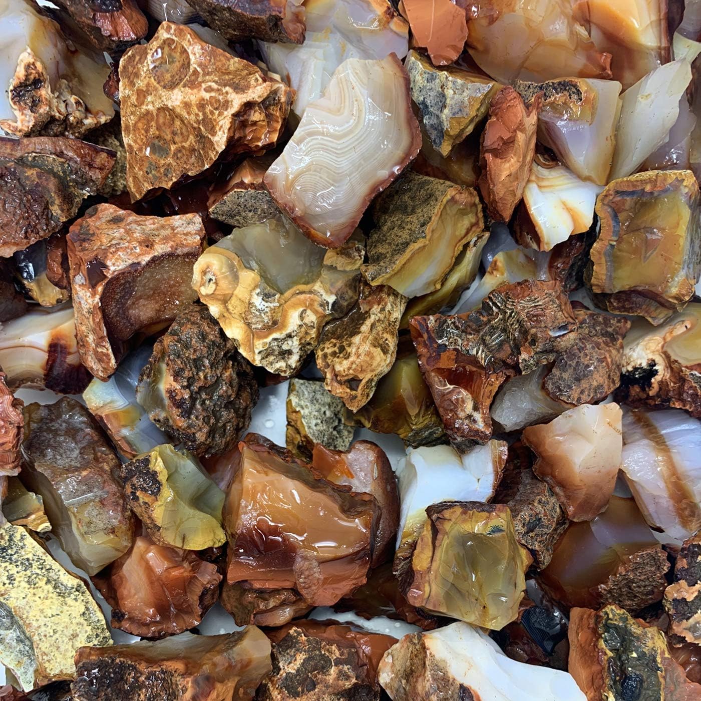 Indoor Fountains & Accessories - WireJewelry 3 Lbs of Bulk Rough Carnelian Stone - Large Natural Rough Stone and Crystals for Tumbling