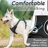Eagloo Dog Harness Front Back Clips Large No Pull Adjustable Reflective view 4