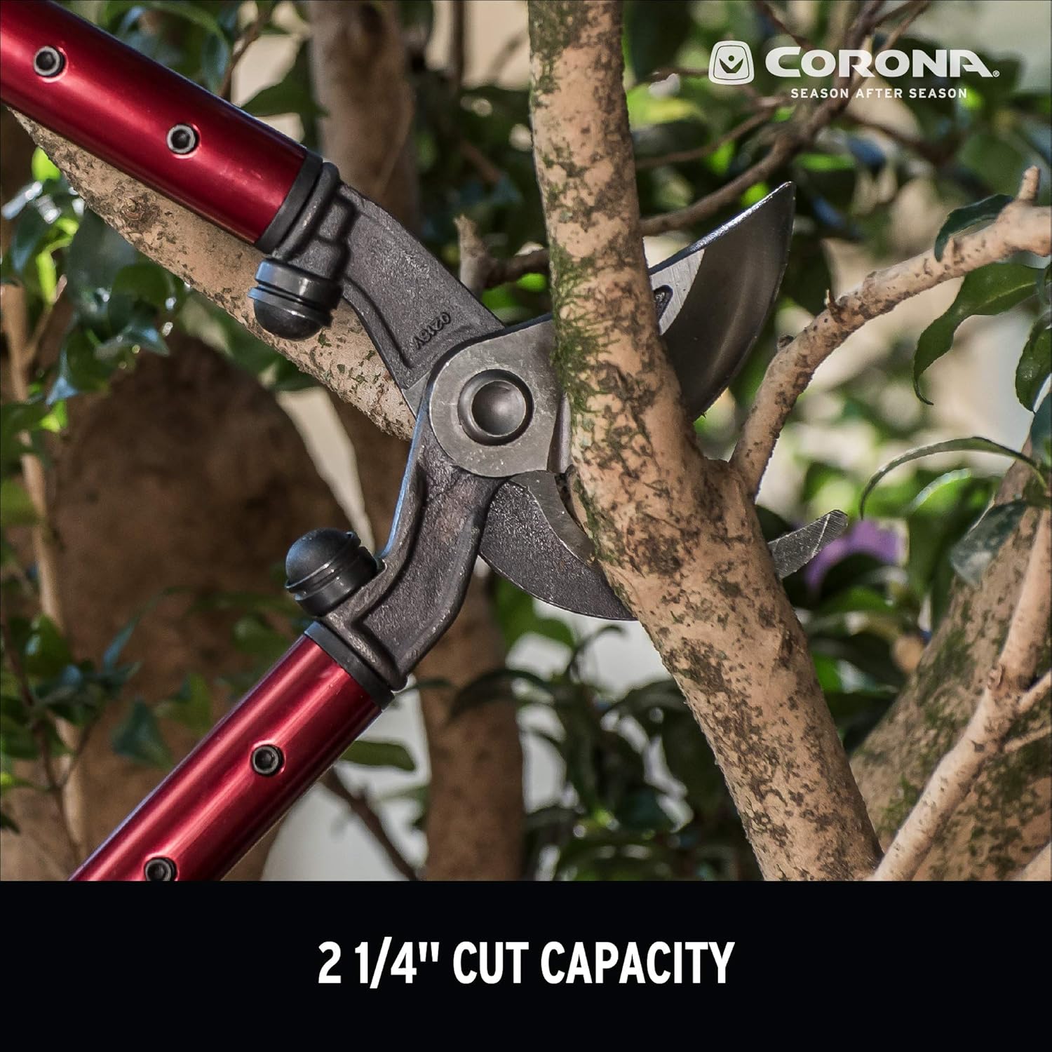 Corona AL 8482 High-Performance Orchard Lopper, 36-Inch : Hand Loppers : Garden & Outdoor