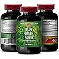 Blue Green Algae Superfood - Blue Green Algae - Blue Green Algae for Immunity - Klamath Shores Blue Green Algae, Digestion Supplement, Immune Support Supplement, Blue Green Algae Powder, 1b 60 Caps