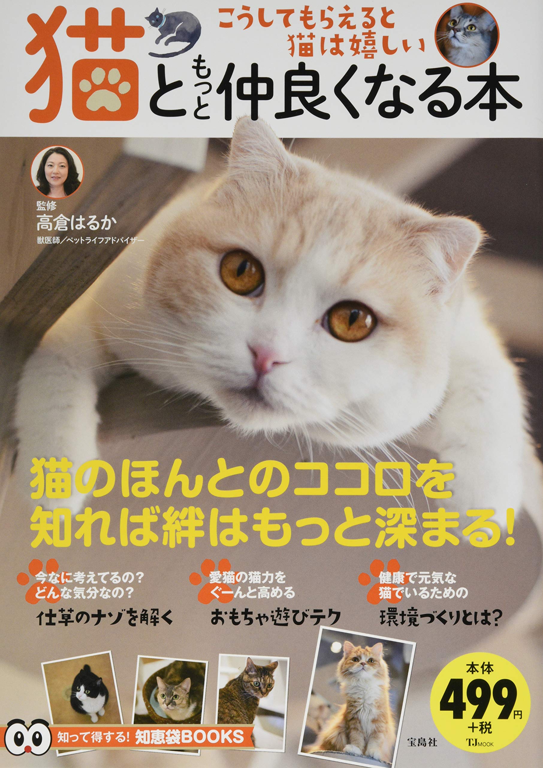 猫ともっと仲良くなる本 Tjmook 知恵袋books 高倉 はるか 本 通販 Amazon