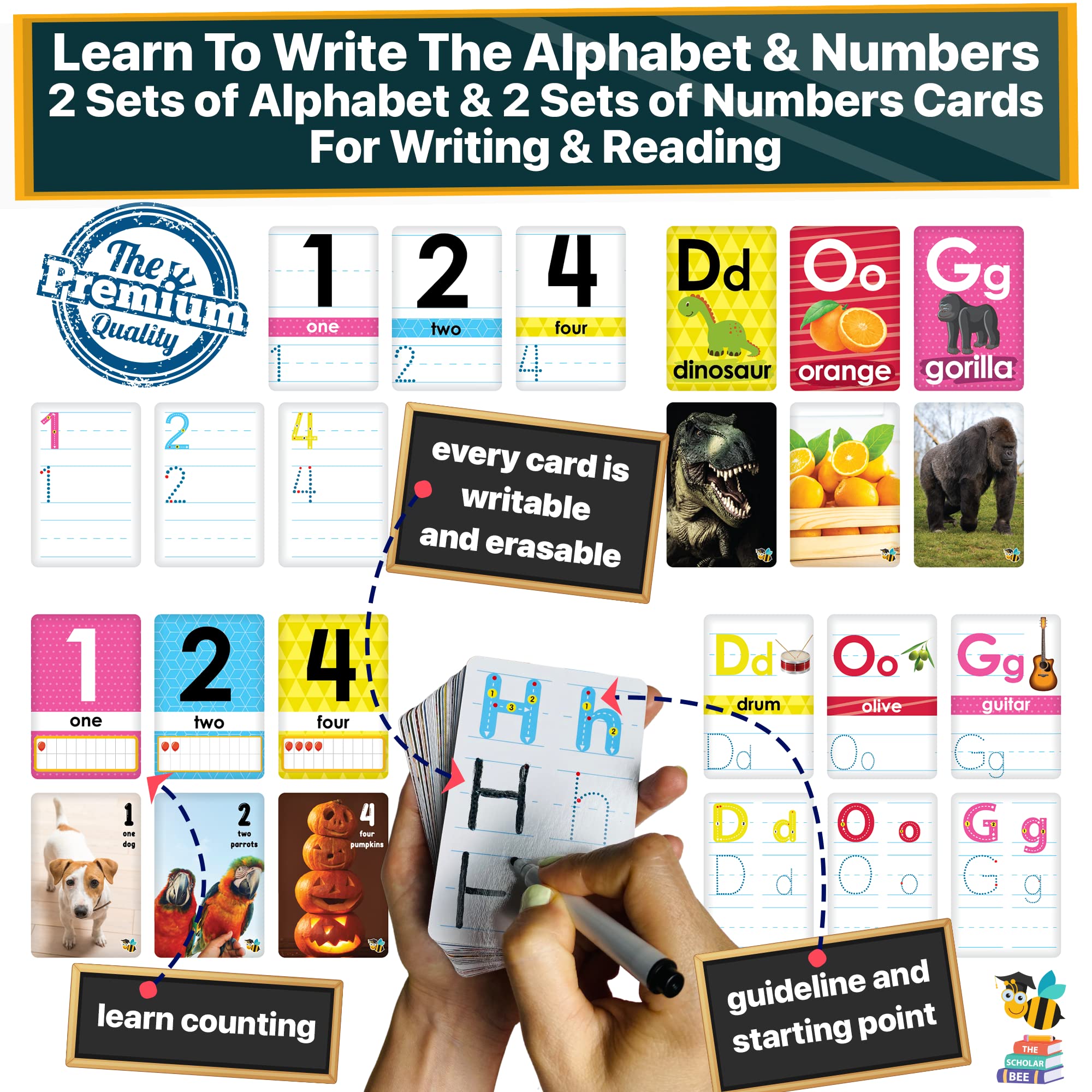 Mua Flash Cards for Toddlers 2-4 Years – Jumbo Learning Box Set with ...