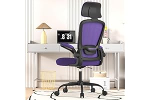 New Year Office Upgrade Ergonomic Desk Chair for Long Hours Sitting – Back & Neck Pain Relief, Adjustable Lumbar Support & He