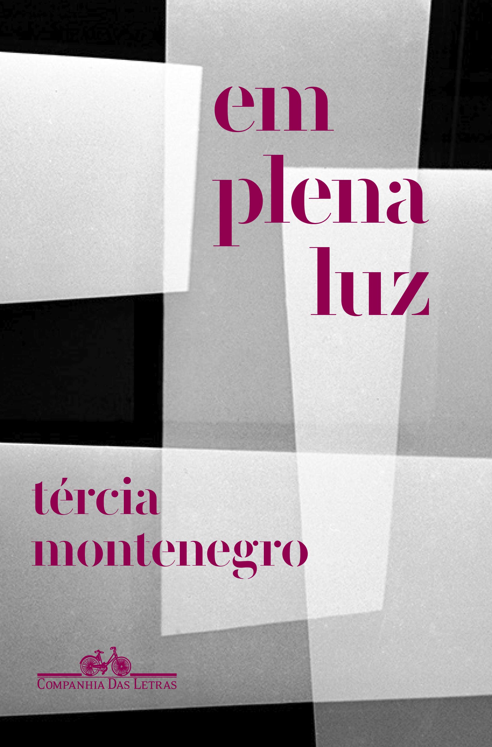 'Em plena luz' por Tércia Montenegro

