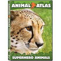 (未使用･未開封品)Animal Atlas: Animal Mysteries [DVD] Animal Atlas - Animal Passport 2008 DVD, NCircle