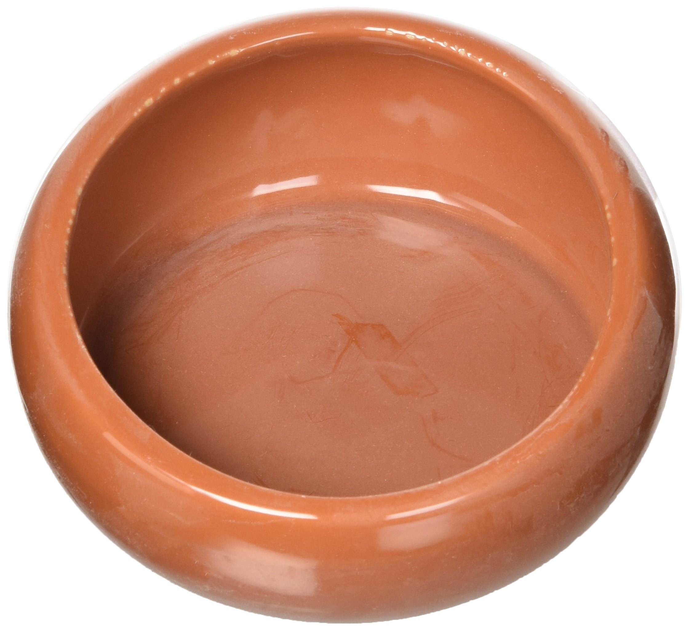 Living World Ergonomic Dish, Terracotta, Large