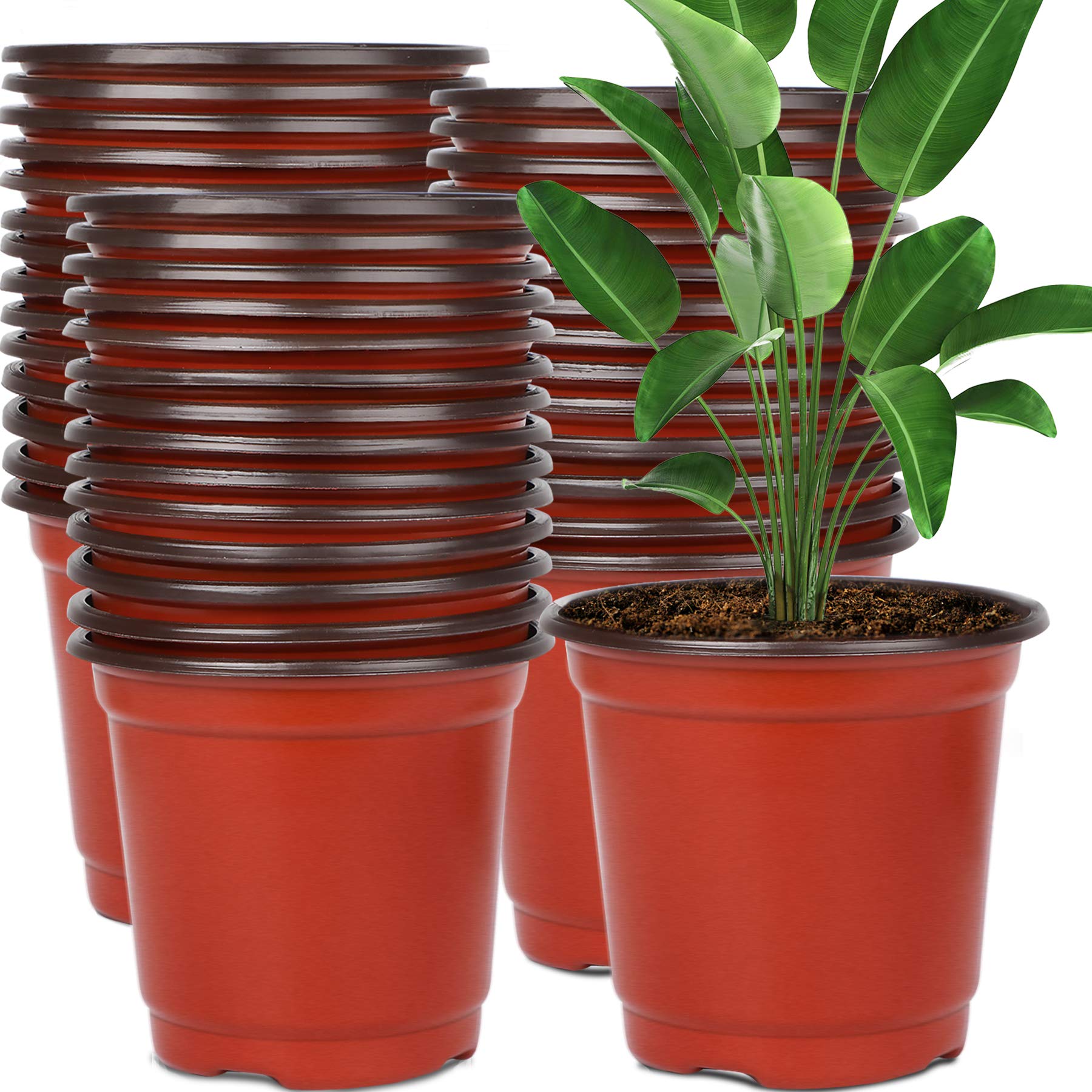 Augshy 130 Packs 6 Inches Plastic Plant Nursery Pots, Seed Starting Pot Flower Container for Succulents, Seedlings, Cuttings, Transplanting, Planter Home Docer — image 1