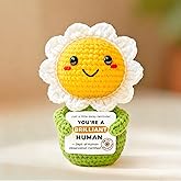 Krinisou Positive Animals Crochet Daisy Gift for Women – Cute Flower Decor, Small Pick-Me-Up Thinking of You Encouragement Present for Friends or Coworkers