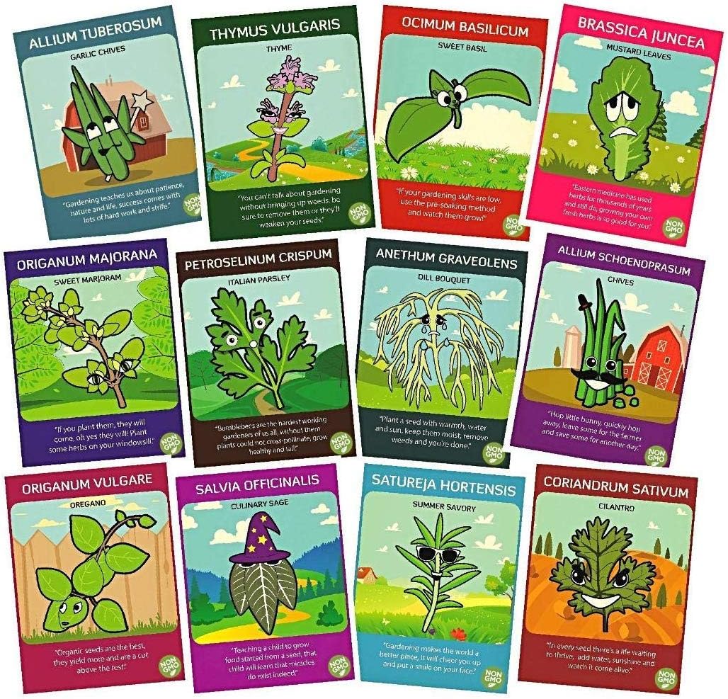 brassière de contention