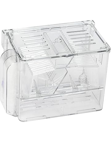 Russell Hendrix Restaurant Equipment Aladdin Temp Rite 174 Reusable Tumbler Clear 6 Oz 48 Case K44