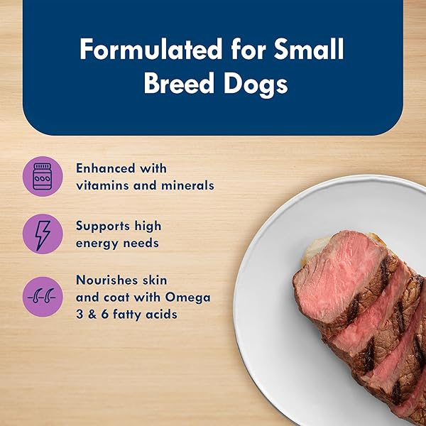 BLUE BUFFALO DELIGHTS NATURAL ADULT SMALL BREED WET DOG FOOD CUPS, PATE STYLE, TOP SIRLOIN FLAVOR IN SAVORY JUICE 3.5-OZ (PACK OF 12)