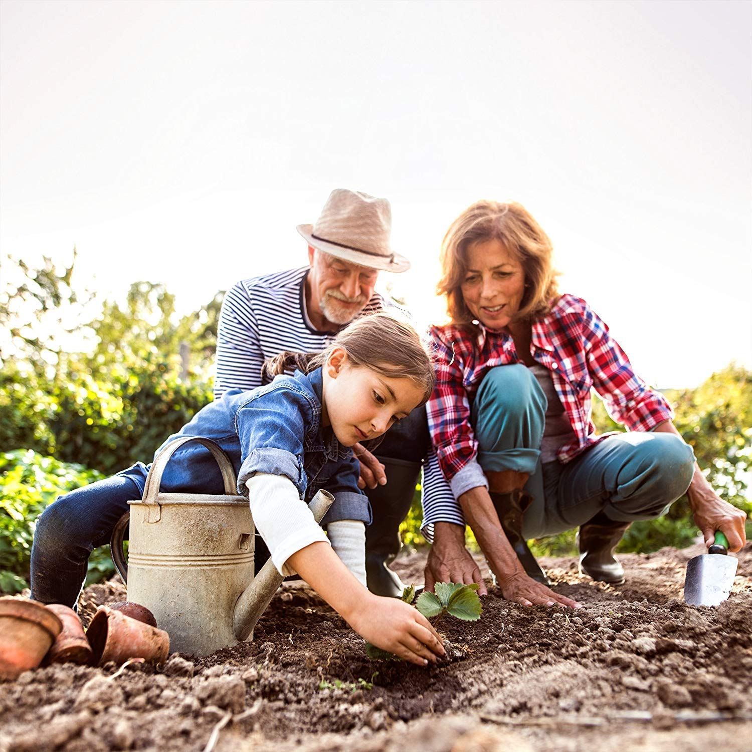 Alquiler de Huertos ecológicos urbanos en Madrid | 6 meses x 64,95 ...