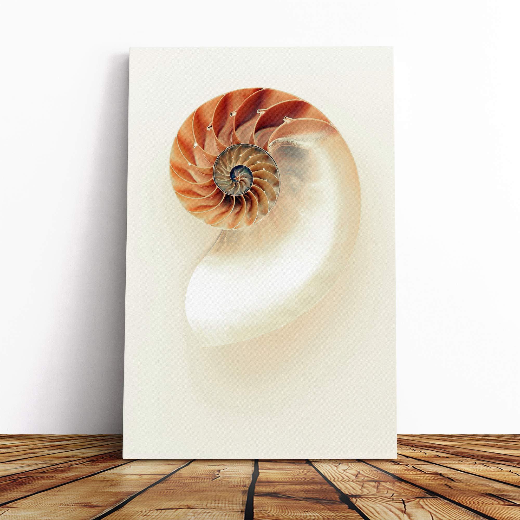 Mother of Pearl Shell Canvas Print | Gallery Wrapped 30mm Frame Wall Art | 20x14 inches | Ready to Hang | Modern Animals Picture | Living Room Bedroom Lounge Office
