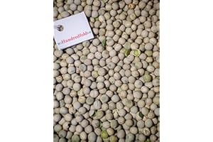 Hundredfold Organic Dried Whole Green Pea 2KG (4.4lbs) - Product of Canada, Food Grade Great for Soups, Stews and Pea Sprouts