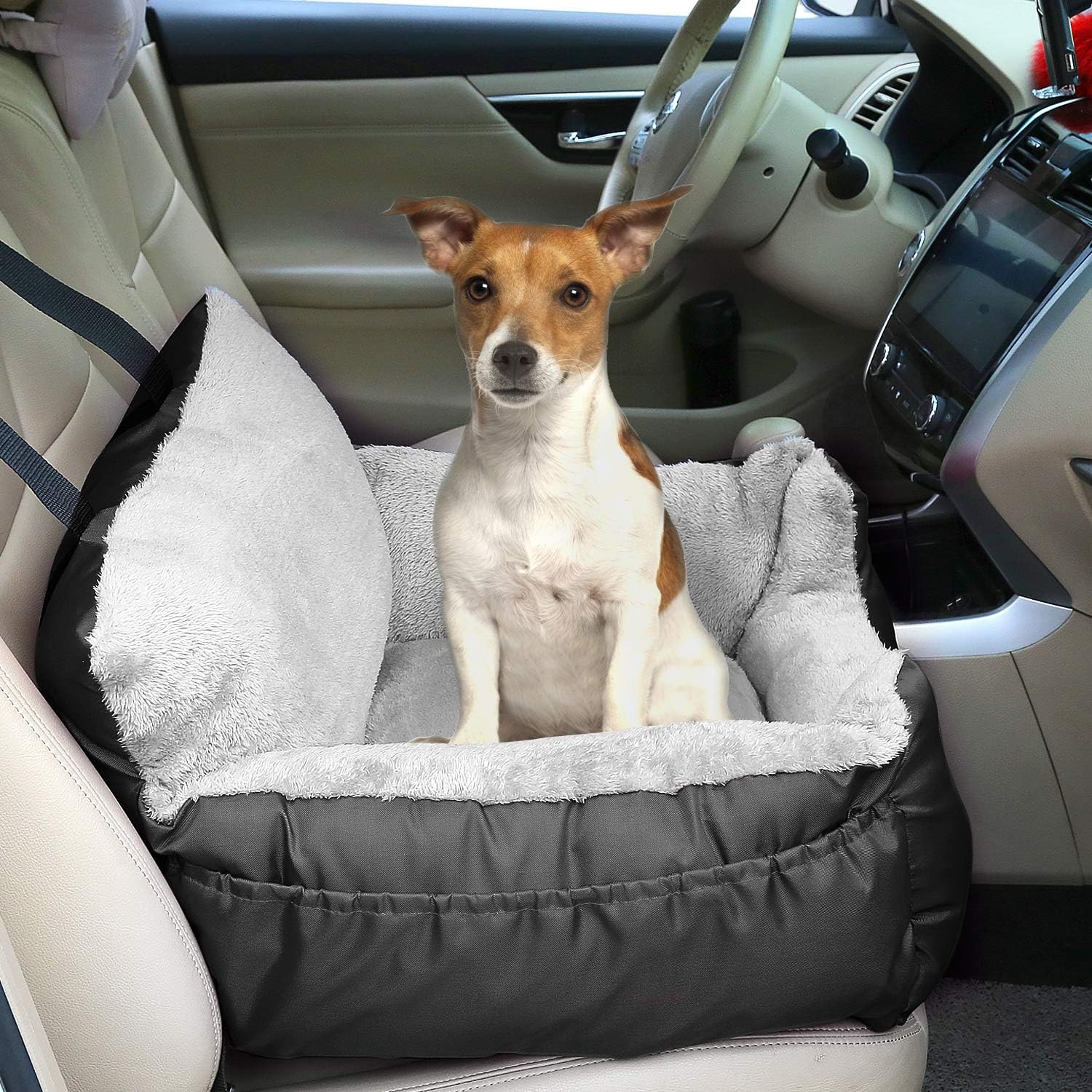 Utotol Pet Car Seat, Puppy Booster Seat Dog Travel Car Carrier Bed with Storage Pocket and Clip-on Safety Leash Removable Washable Cover for Small Dog (Black) : Pet Supplies