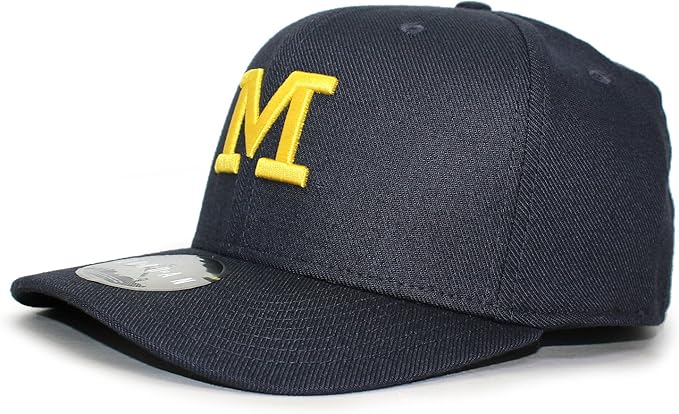 jordan brand michigan