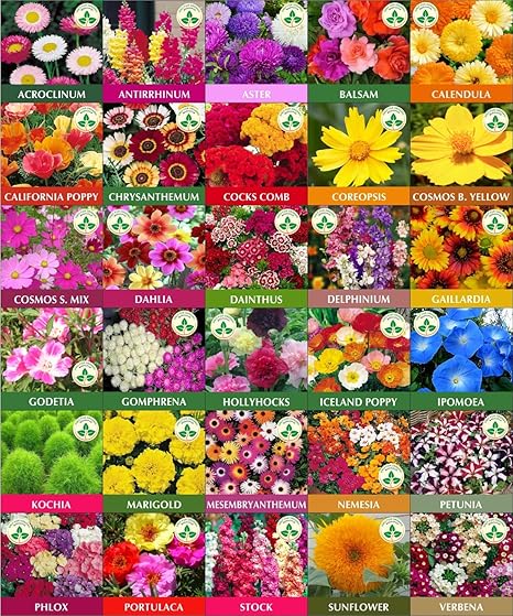 Only For Organic combo of 30 variety 5000 flower seeds with cocopeat block and instruction manual