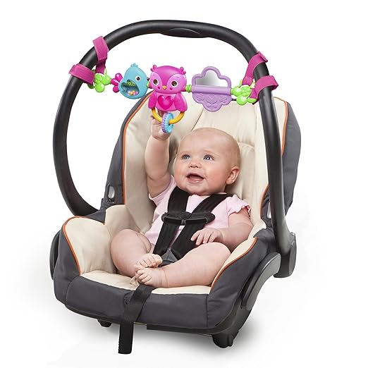 bright starts car seat