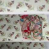 The Master Herbalist Sandalwood Scented Drawer Liners Gift Pack of 5 view 6