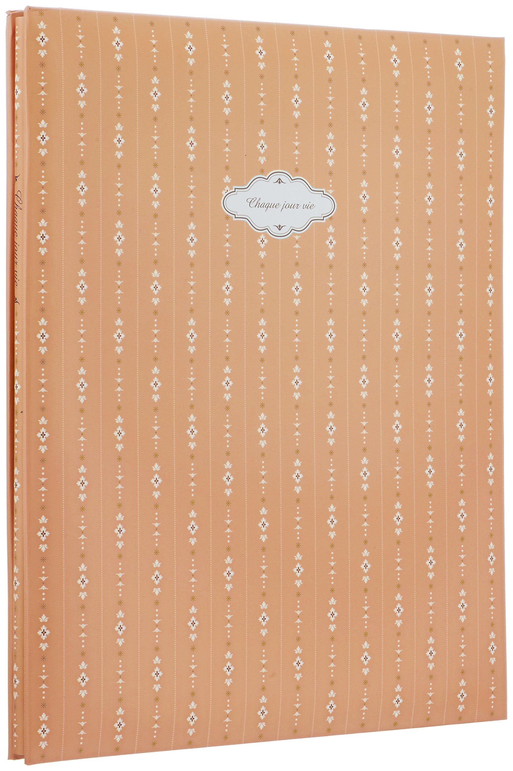 FUJICOLOR アルバム フリー F-10B(BK) グラス アプリコット [ ブラック台紙 ] 11~20ページ ストライプ レッド 48964商品画像