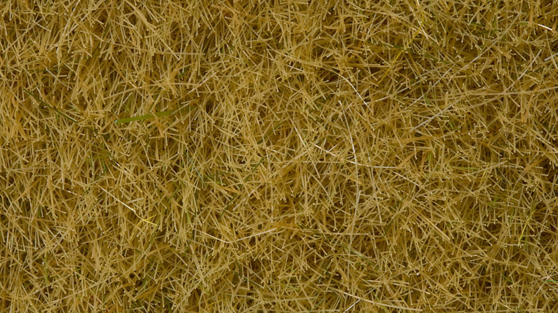 Noch 07101 6 mm Wild Grass Beige Landscape Modelling