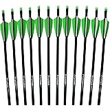 Prunus 12 pcs Targeting Practice Fiberglass Arrows with Fixed Tips in Green and White Plastic Vanes