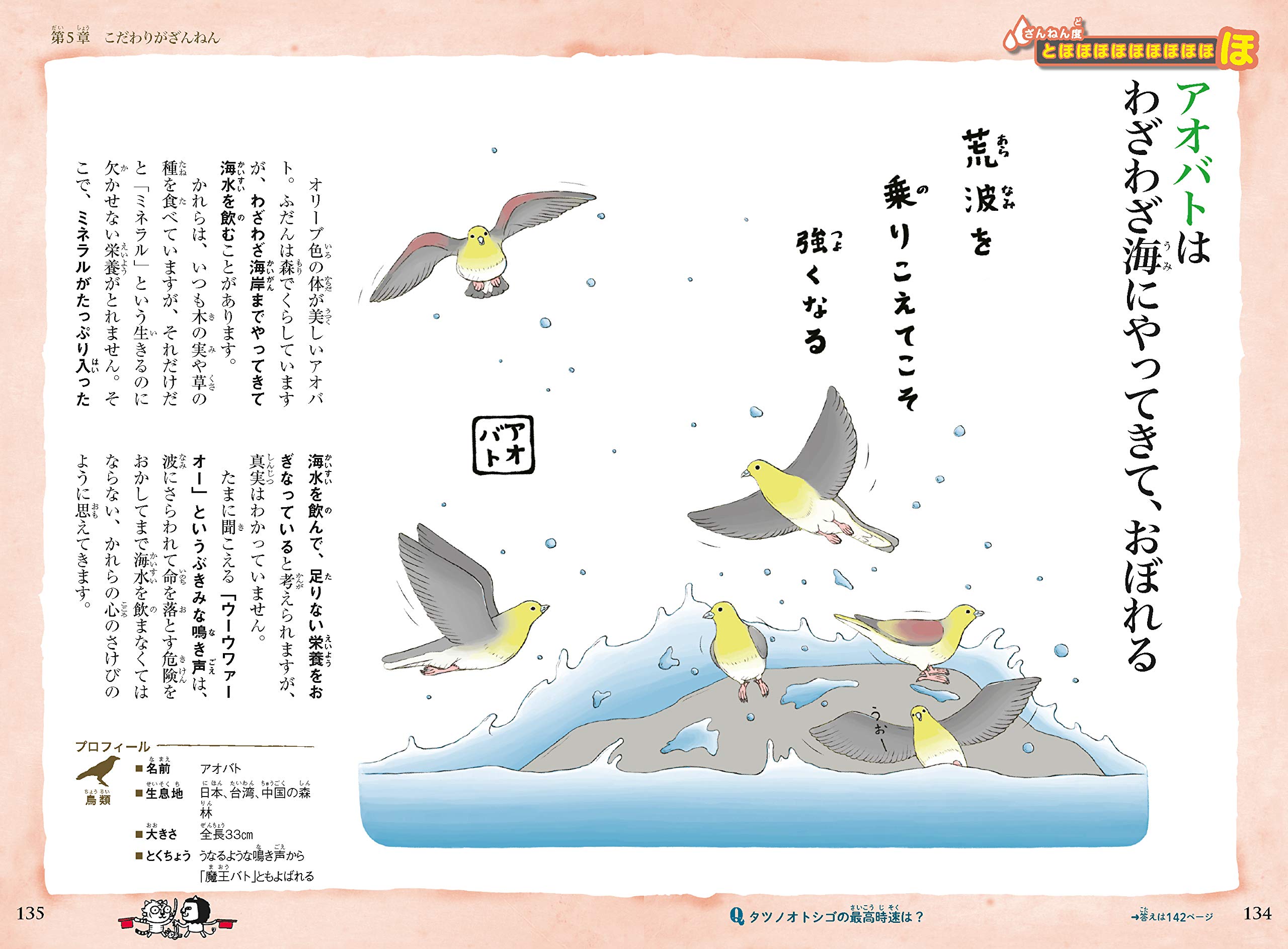 初回限定 条件付 10 相当 さらにざんねんないきもの事典 おもしろい 進化のふしぎ 今泉忠明 下間文恵 伊藤ハムスター 条件はお店topで Riosmauricio Com