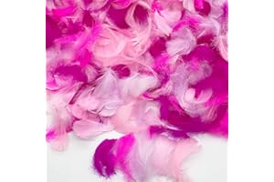 LWINGFLYER 500PCS Small Craft Feathers Hot Pink Assorted Colors Bulk 2-3Inch Soft Goose Feather for Wedding Birthday Party Decoration Crafting Balloons Ornament Dream Catchers