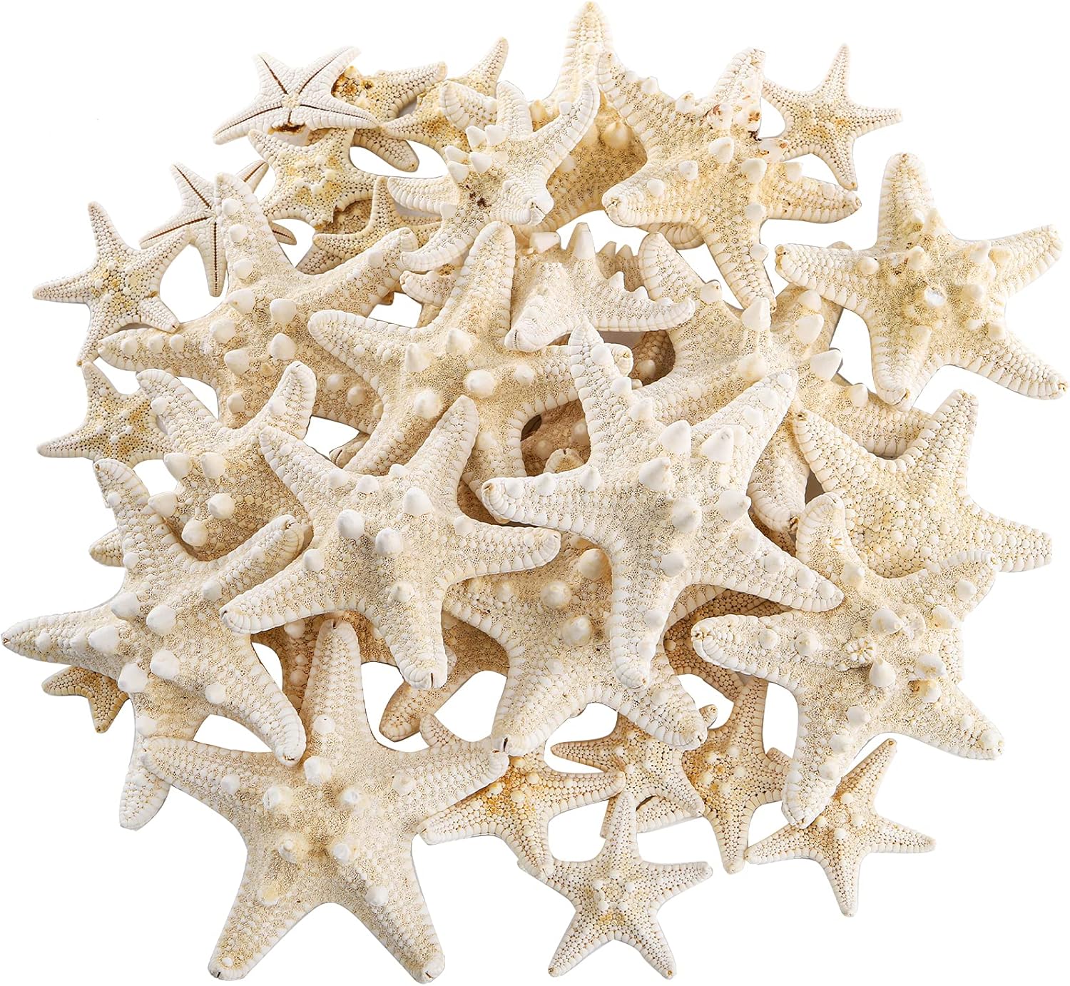 Vase Fillers - Okllen 40 Pieces Knobby Starfish Seashell, Artificial Mixed Beach Starfish 1