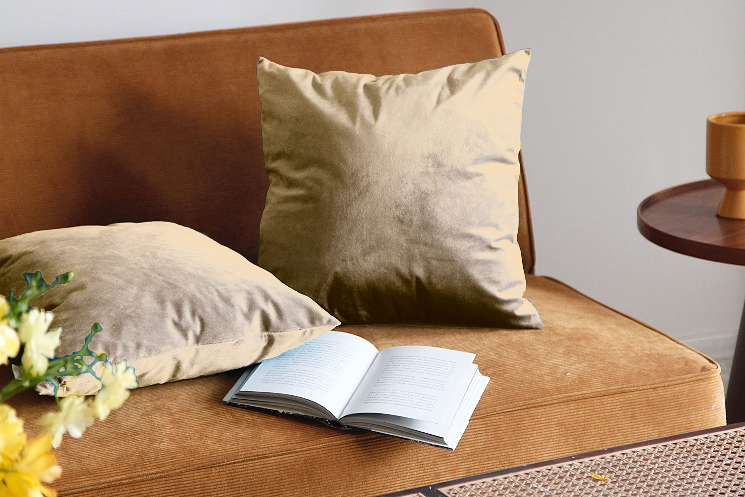 Pagnanno. Set of 2 Soft Velvet Cushion Covers 45x45cm(18x18 Inches) Plain Throw Pillowcases Square Cushion Covers for Chairs,living room,bedroom with Invisible Zipper ((Pack of 2), Biscuit)