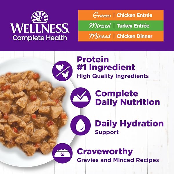 WELLNESS COMPLETE HEALTH GRAVY AND MINCED VARIETY PACK ADULT CANNED WET CAT FOOD, NATURAL, PROTEIN RICH, GRAIN FREE, CHICKEN AND TURKEY LOVERS, 3 OZ, PACK OF 12 CANS