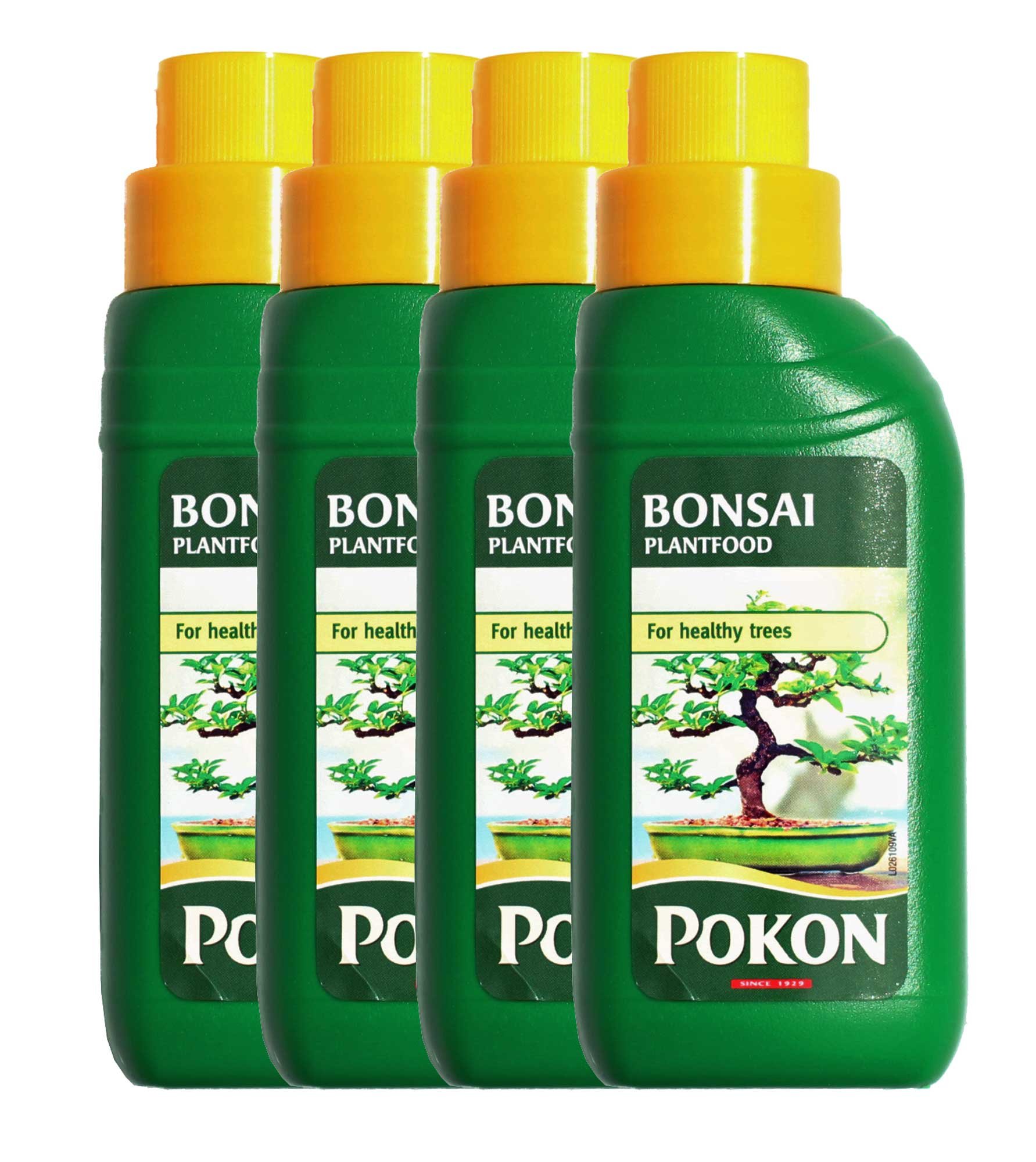 4 x Bottles of Liquid Bonsai Feed for Indoor Trees