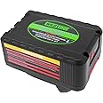 Wild Edge 40V 2.0 AH Lithium Ion Battery, Replacement Battery for Wild Edge 40V Cordless Reel Mower (S40B2)