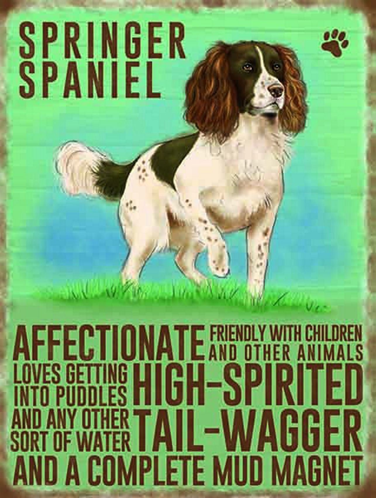 Vintage Style Retro Metal Sign Dog Lovers Owners Gift Tin Pedigree Dogs, Metal, SPRINGER SPANIEL, 20 x 15 cm