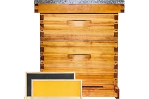 HIVEAURA Beginner 8 Frame Bee Hive Beeswax Coated Includes Beehive Frames and Foundations (1 Deep Box & 1 Medium Box)