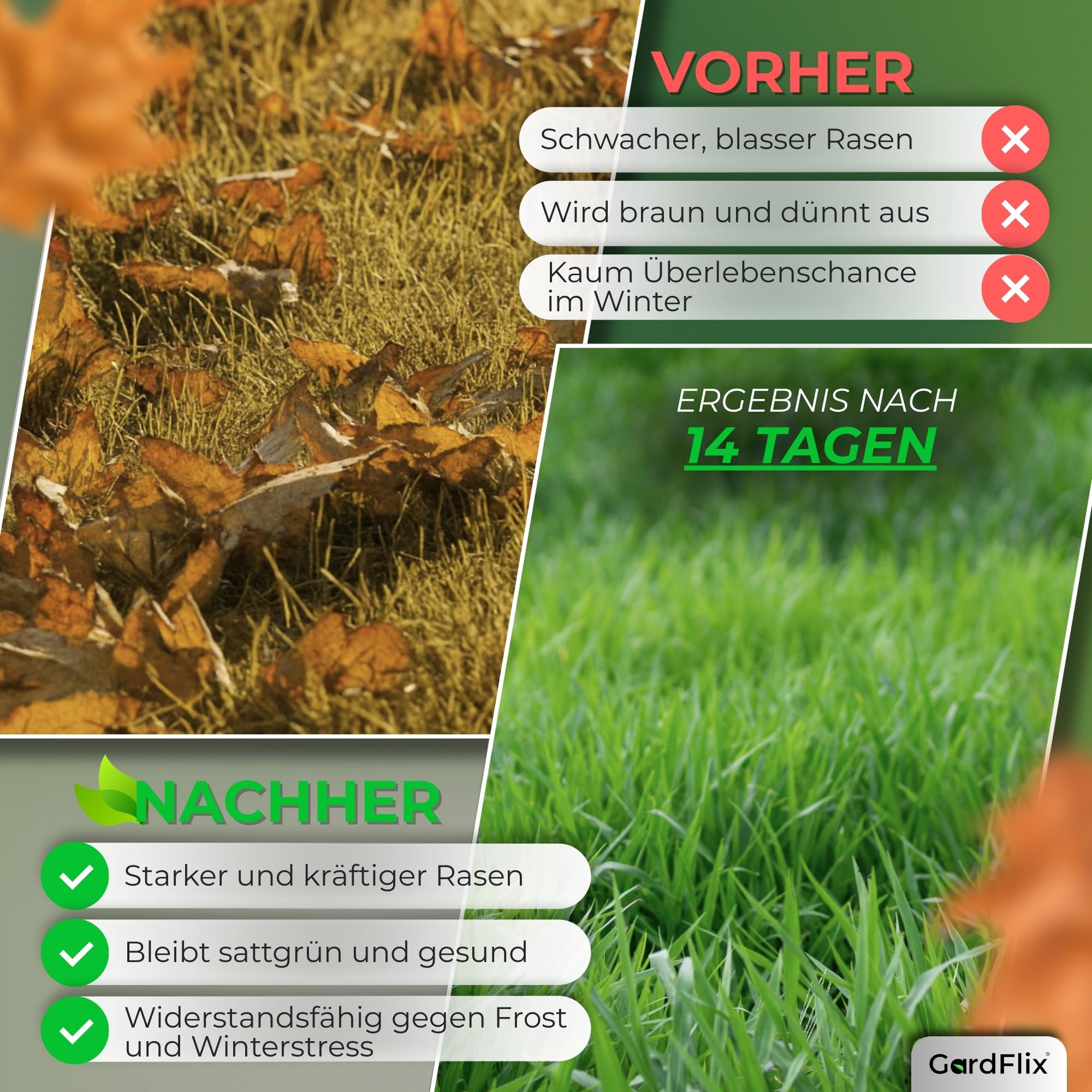 Gardflix Herbstdünger Rasen Langzeitwirkung (5kg Sack für 250m²) | Rasendünger Herbst verdrängt Moos | Frostschutz & Winterfester Rasen | Staubarmer Granulat für Streuwagen | Sicher für Kind & Tier 2
