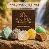 Anima Abundance Crystals Set Large Raw Citrine Pyrite Tigers Eye Green view 4
