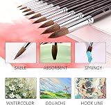 Fuumuui Sable 9pc Watercolour Brush Set Round & Pointed Kolinsky Sable view 4