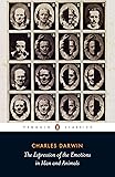 The Expression of the Emotions in Man and Animals (Penguin Classics)