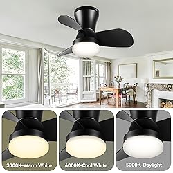 SUNMORY Ceiling Fans with Lights and Remote, 22