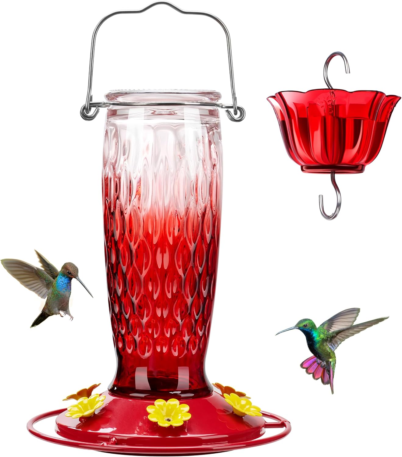 Backyard Birding & Wildlife - Kingsyard Glass Hummingbird Feeder for Outdoors 24 Oz, Hanging Wild Bird Feeder with 6 Feeding Ports, Leak-Proof, Easy to Refill & Clean, Red Gradient (Ant Moat Included)