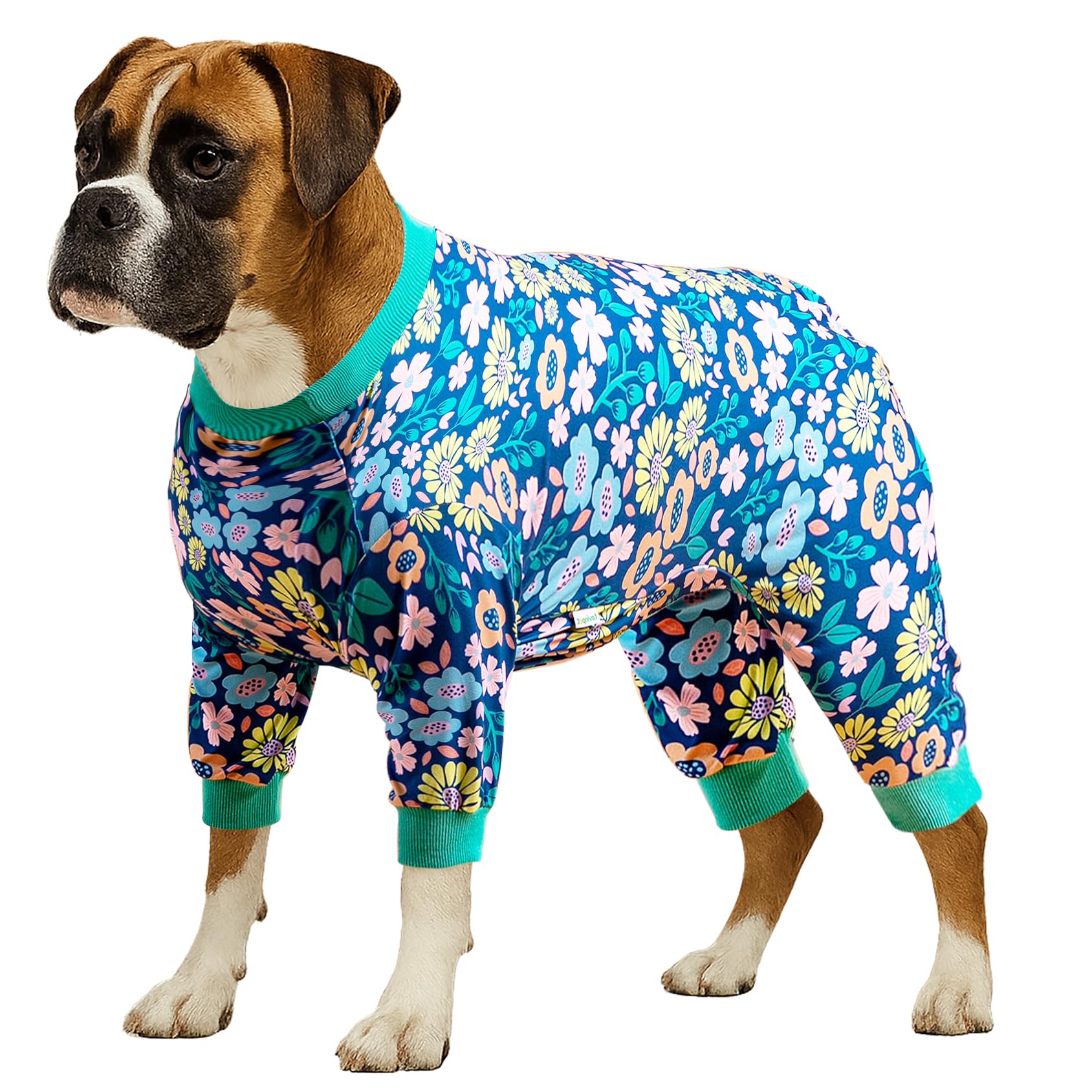 LovinPet Onsie For Dog After Surgery Big Dogs, Big Dog Clothes, Post Surgery Onesie, Lightweight Fabric Pitbull Dog Pullover Pajamas, Puppy Pajamas, Pitbull Clothes, Blue Green XL