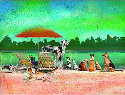 Wellspring Brain Teaser Puzzle (6812)