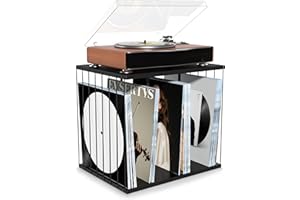 Emfogo Vinyl Record Storage, Metal & Wooden Vinyl Record Holder Up to 80 Album, 3-Compartment Record Player Stand for Magazin