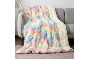 Pawque Sherpa Weighted Blanket for Adult 15lbs, Warm Fuzzy Shaggy Faux Fur Sherpa Weighted Throw, Washable Dual Sided Cozy Plush Fluffy Cover for Bed Sofa Couch, 60 x 80 inches, Rainbow