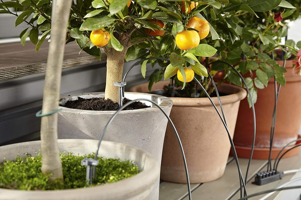 Was gilt es zu beachten bei der Urlaubsbewässerung Balkon
