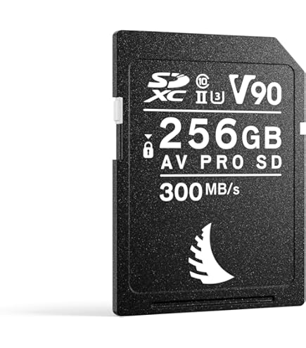 Amazon.com: Angelbird AV PRO SD 128GB UHS-II SDXC Internal