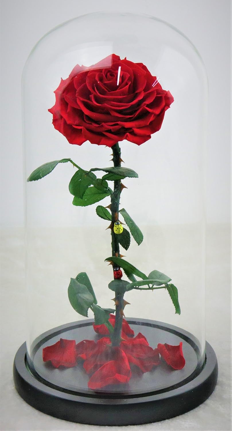 ハンドメイドendless Preserved Rose Never Witheredバラフラワーinガラスドーム バレンタインの日のギフト記念日誕生日 Red B077rw6fcm
