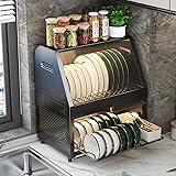CXTRYN 2 Tier Dish Drying Rack - Space-Saving Dish